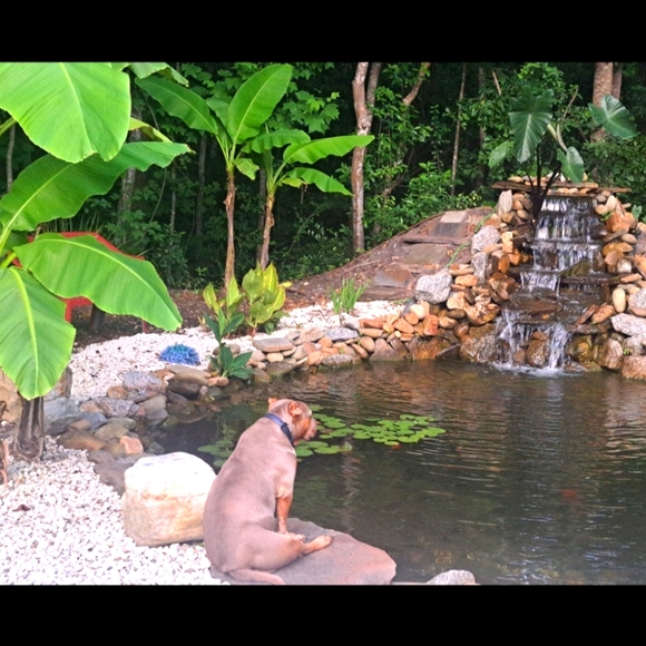 A POSHERS LIFE - Picture 6 of 14